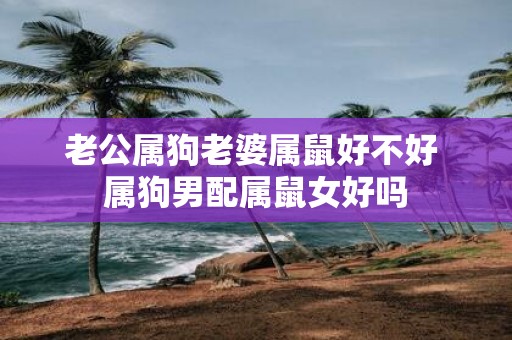 老公属狗老婆属鼠好不好 属狗男配属鼠女好吗
