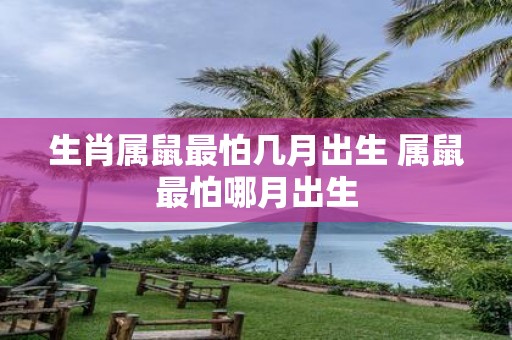 生肖属鼠最怕几月出生 属鼠最怕哪月出生