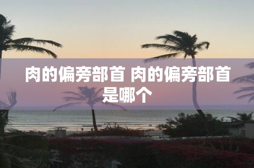 肉的偏旁部首 肉的偏旁部首是哪个