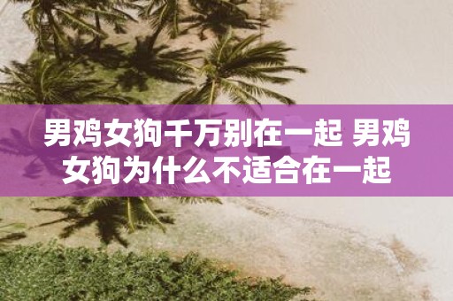 男鸡女狗千万别在一起 男鸡女狗为什么不适合在一起