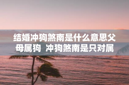结婚冲狗煞南是什么意思父母属狗 冲狗煞南是只对属狗的不利吗
