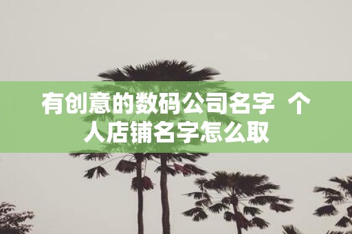 有创意的数码公司名字 个人店铺名字怎么取