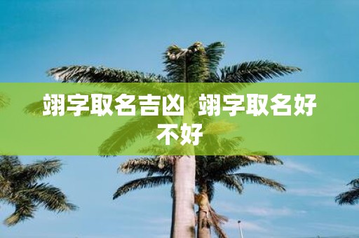 翊字取名吉凶 翊字取名好不好