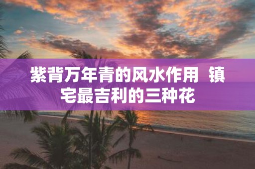 紫背万年青的风水作用 镇宅最吉利的三种花