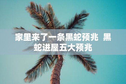 家里来了一条黑蛇预兆 黑蛇进屋五大预兆