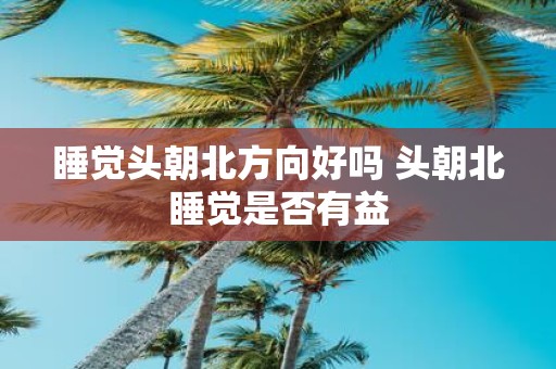 睡觉头朝北方向好吗 头朝北睡觉是否有益