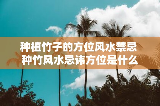 种植竹子的方位风水禁忌 种竹风水忌讳方位是什么