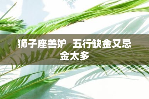 狮子座善妒 五行缺金又忌金太多