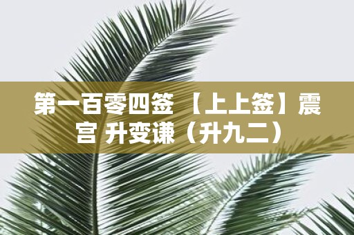 第一百零四签 【上上签】震宫 升变谦（升九二）