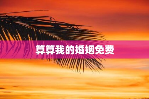 算算我的婚姻免费
