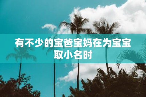 有不少的宝爸宝妈在为宝宝取小名时