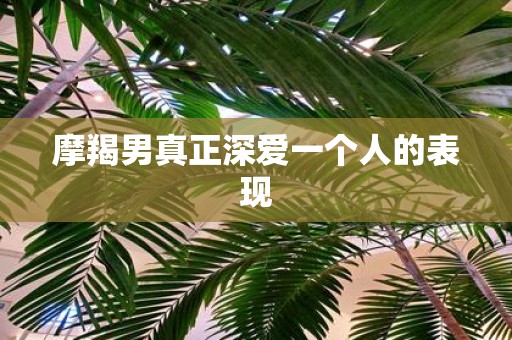 摩羯男真正深爱一个人的表现