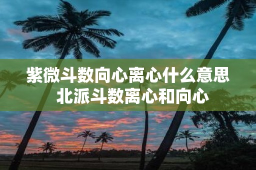 紫微斗数向心离心什么意思 北派斗数离心和向心