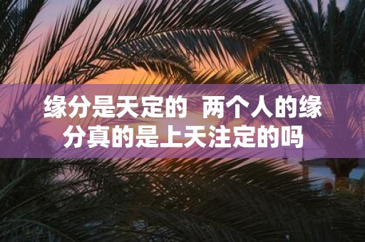 缘分是天定的 两个人的缘分真的是上天注定的吗