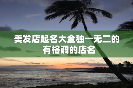 美发店起名大全独一无二的 有格调的店名