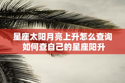 星座太阳月亮上升怎么查询 如何查自己的星座阳升
