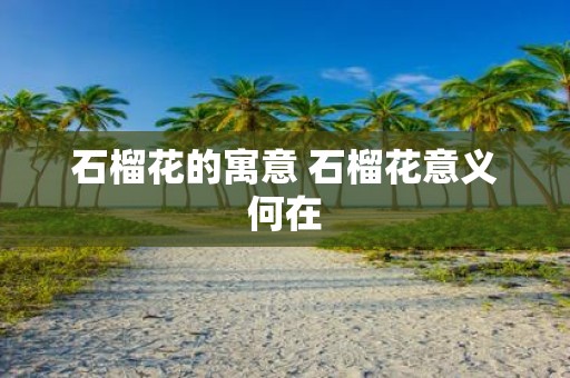 石榴花的寓意 石榴花意义何在