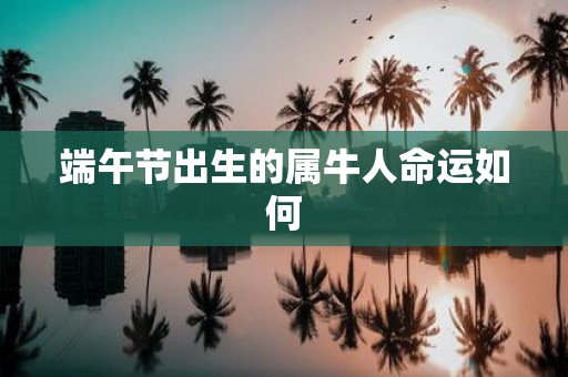 端午节出生的属牛人命运如何