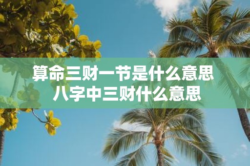 算命三财一节是什么意思  八字中三财什么意思