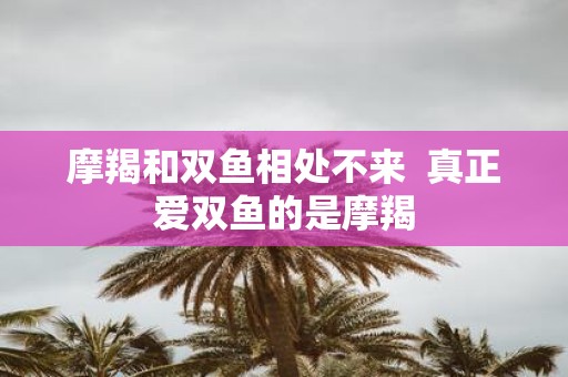 摩羯和双鱼相处不来  真正爱双鱼的是摩羯