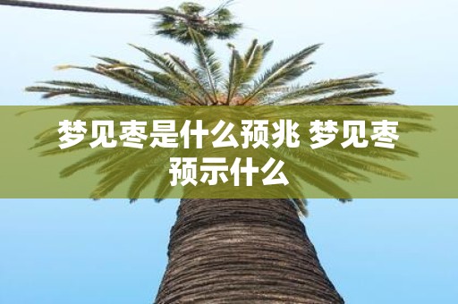 梦见枣是什么预兆 梦见枣预示什么