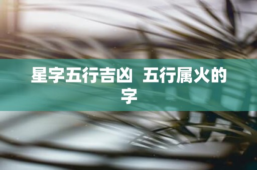 星字五行吉凶 五行属火的字