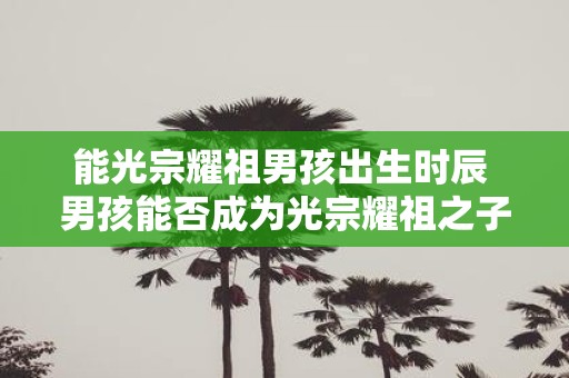 能光宗耀祖男孩出生时辰 男孩能否成为光宗耀祖之子