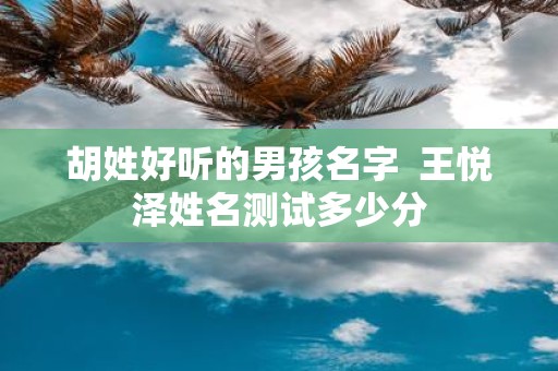 胡姓好听的男孩名字 王悦泽姓名测试多少分