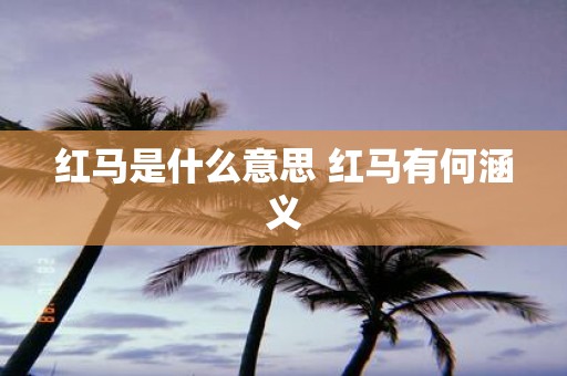红马是什么意思 红马有何涵义