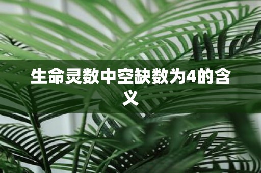 生命灵数中空缺数为4的含义
