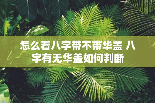 怎么看八字带不带华盖 八字有无华盖如何判断