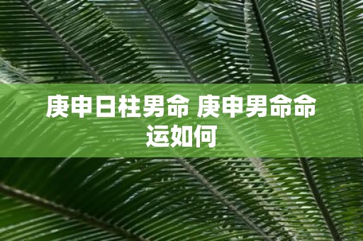 庚申日柱男命 庚申男命命运如何
