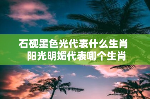 石砚墨色光代表什么生肖 阳光明媚代表哪个生肖