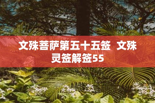 文殊菩萨第五十五签 文殊灵签解签55