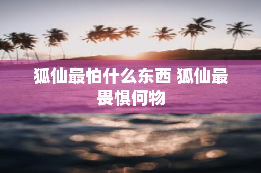 狐仙最怕什么东西 狐仙最畏惧何物