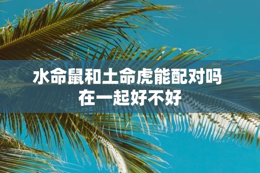 水命鼠和土命虎能配对吗 在一起好不好