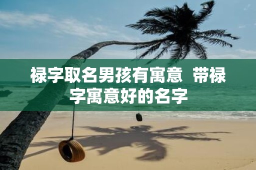 禄字取名男孩有寓意 带禄字寓意好的名字