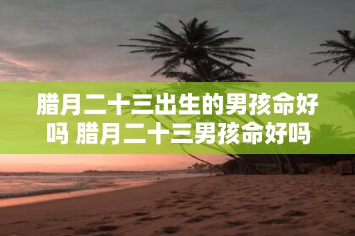 腊月二十三出生的男孩命好吗 腊月二十三男孩命好吗