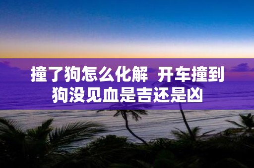 撞了狗怎么化解 开车撞到狗没见血是吉还是凶