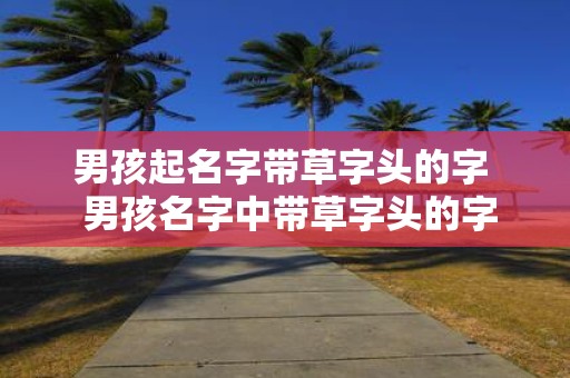男孩起名字带草字头的字 男孩名字中带草字头的字有哪些