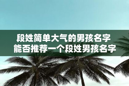 段姓简单大气的男孩名字 能否推荐一个段姓男孩名字