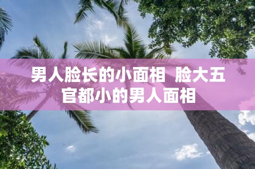 男人脸长的小面相 脸大五官都小的男人面相