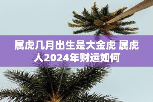 属虎几月出生是大金虎 属虎人2025年财运如何