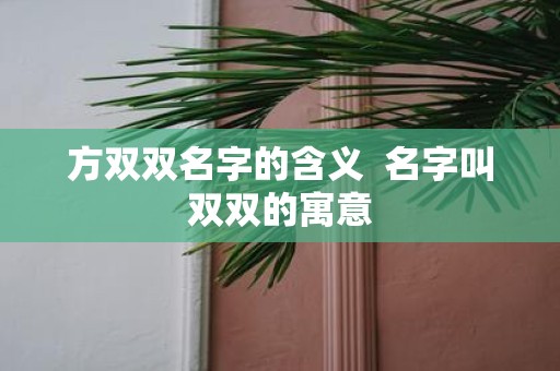 方双双名字的含义 名字叫双双的寓意