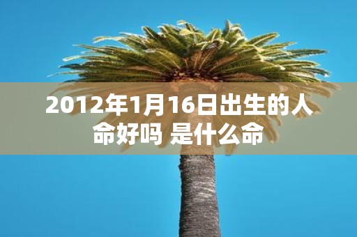 2012年1月16日出生的人命好吗 是什么命