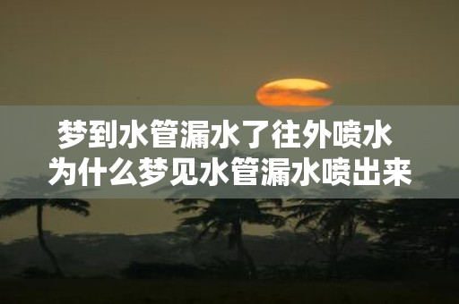 梦到水管漏水了往外喷水 为什么梦见水管漏水喷出来