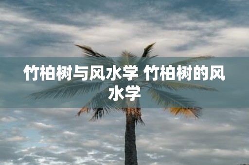 竹柏树与风水学 竹柏树的风水学