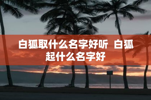 白狐取什么名字好听 白狐起什么名字好
