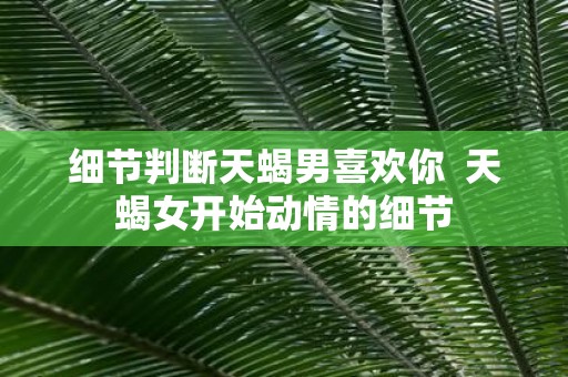 细节判断天蝎男喜欢你 天蝎女开始动情的细节