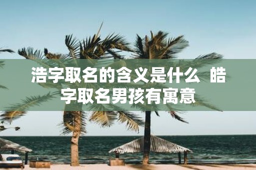 浩字取名的含义是什么 皓字取名男孩有寓意